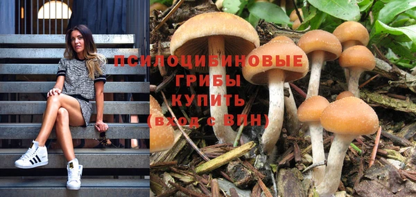 мескалин Алексеевка