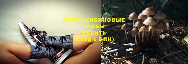 spice Абинск
