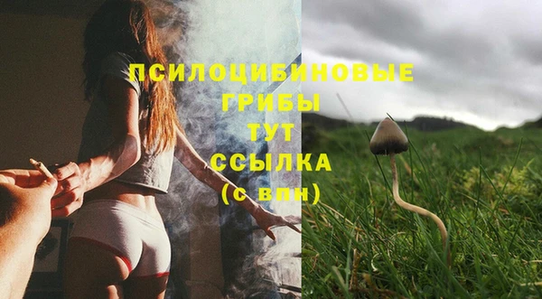spice Абинск