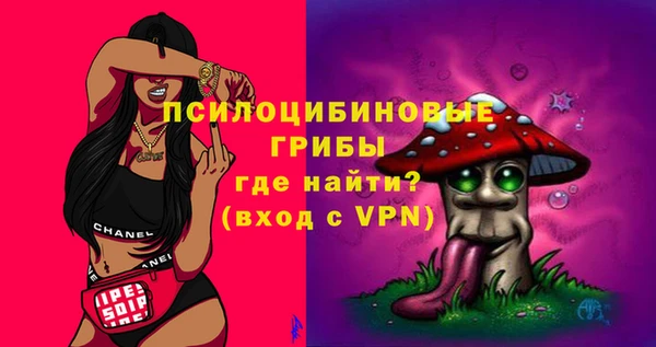 spice Абинск